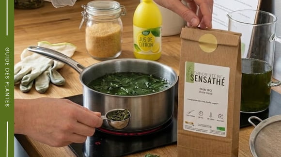 Préparation pour un sirop d'ortie - Herboristerie Sensathé